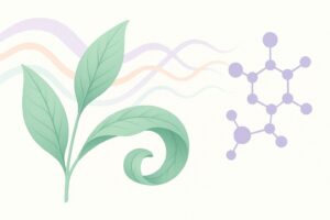 L-Theanine for Sleep Onset — What the Research Shows