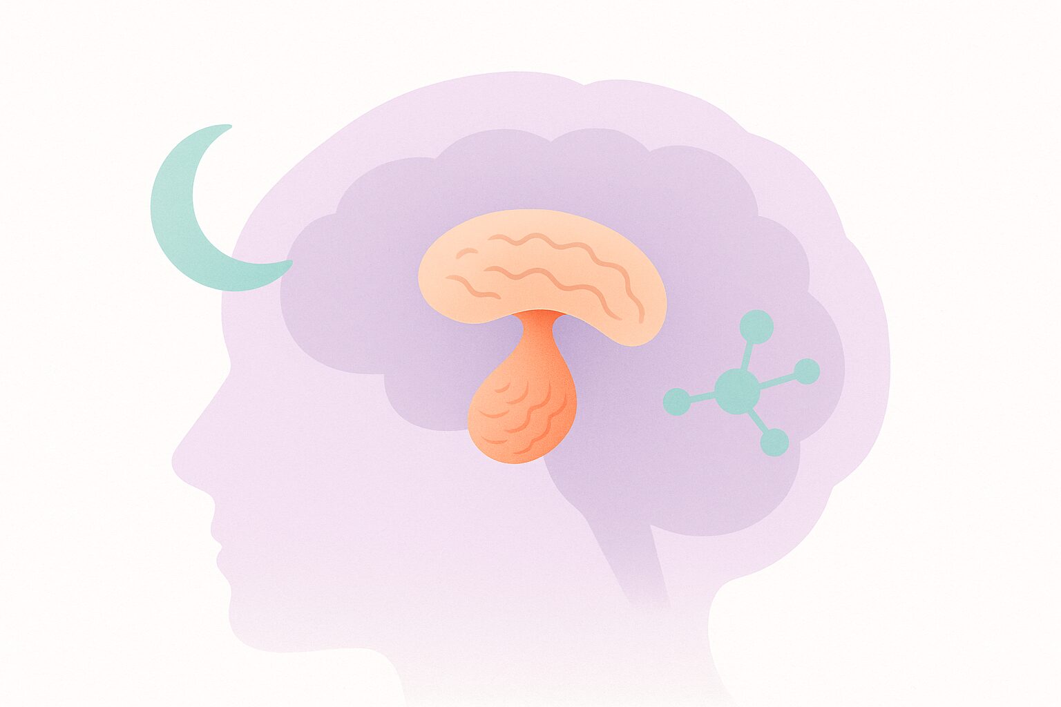 Editorial illustration of a stylized pineal gland with a moon icon