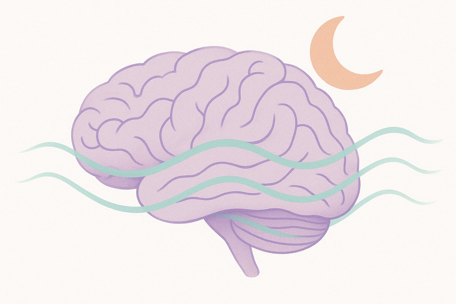 Editorial illustration of a crescent moon over a stylized brain with sleep waves
